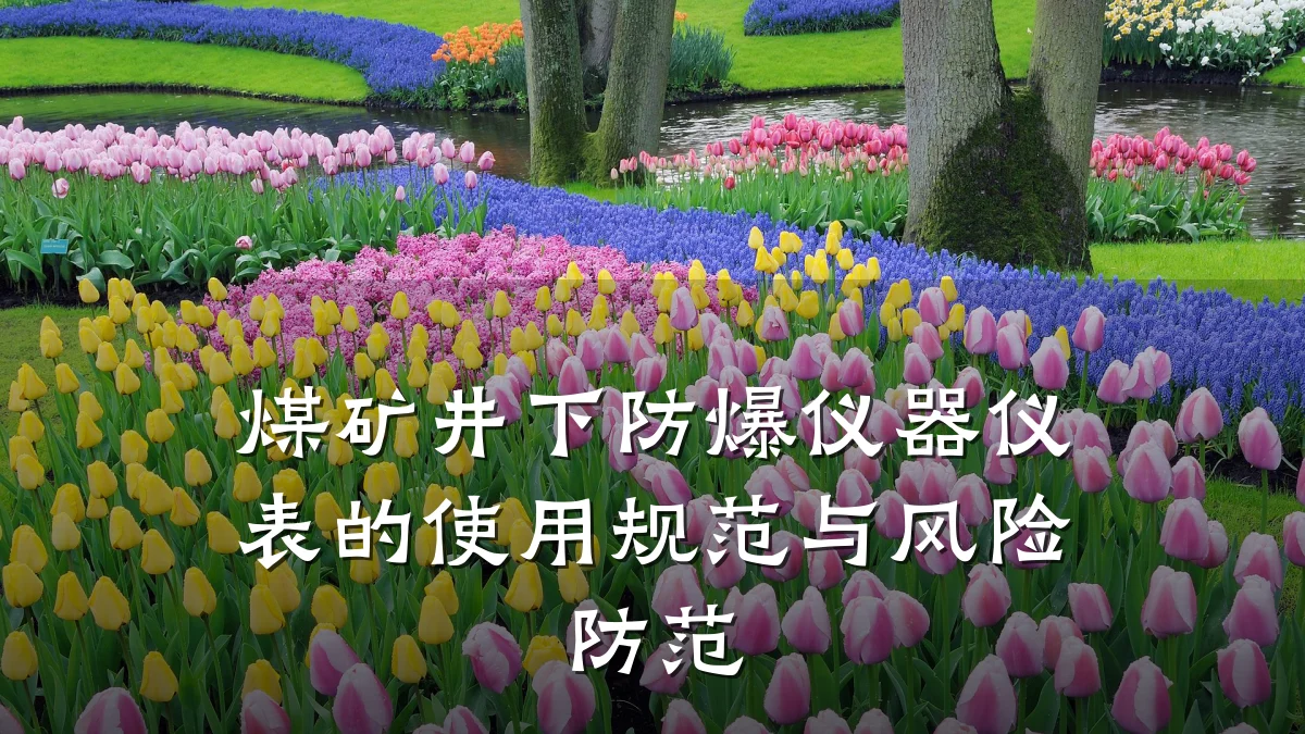 煤矿井下防爆仪器仪表的使用规范与风险防范