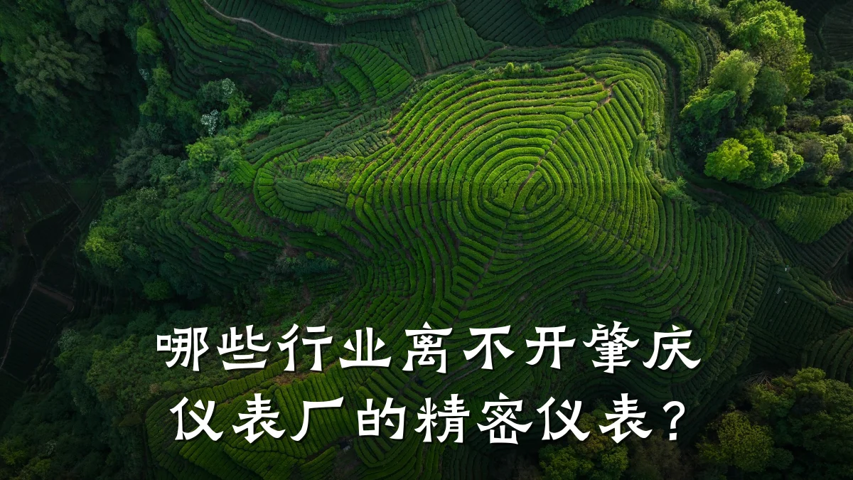 哪些行业离不开肇庆仪表厂的精密仪表?