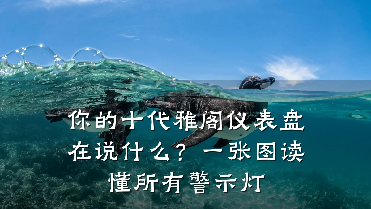 你的十代雅阁仪表盘在说什么?一张图读懂所有警示灯