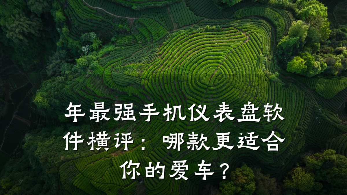 年最强手机仪表盘软件横评:哪款更适合你的爱车?