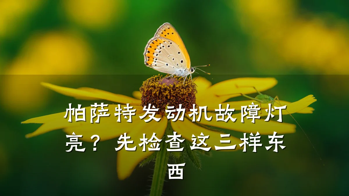 帕萨特发动机故障灯亮?先检查这三样东西