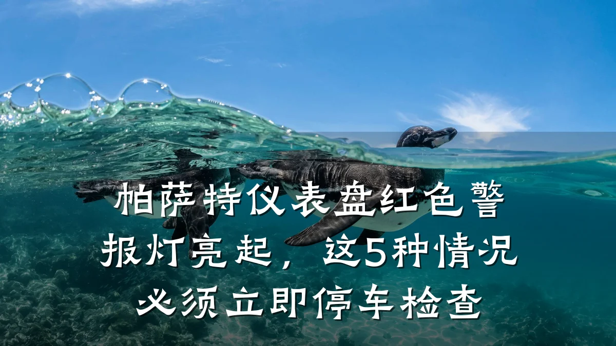 帕萨特仪表盘红色警报灯亮起,这5种情况必须立即停车检查