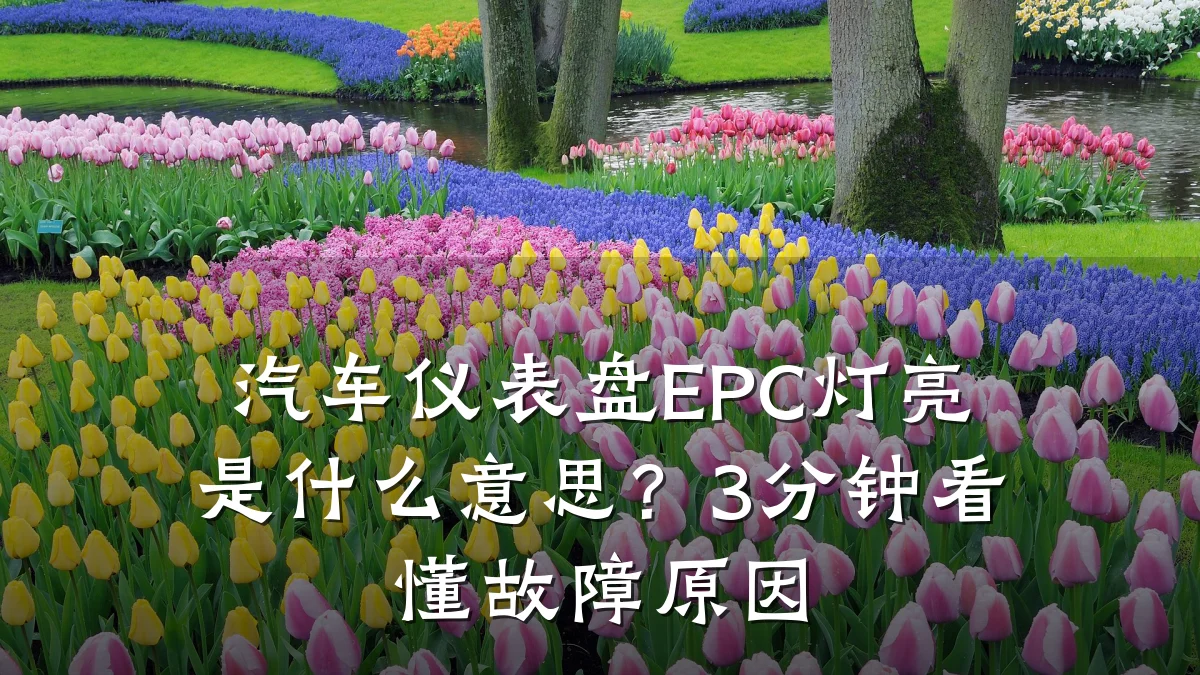 汽车仪表盘EPC灯亮是什么意思?3分钟看懂故障原因