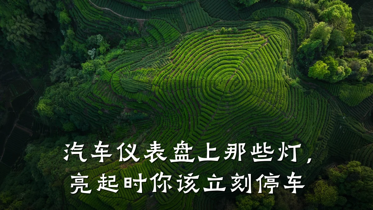 汽车仪表盘上那些灯,亮起时你该立刻停车