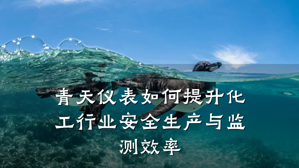 青天仪表如何提升化工行业安全生产与监测效率