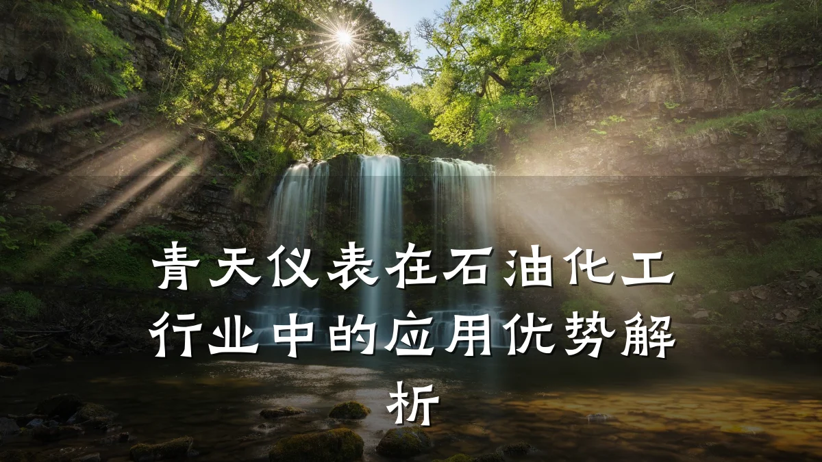 青天仪表在石油化工行业中的应用优势解析