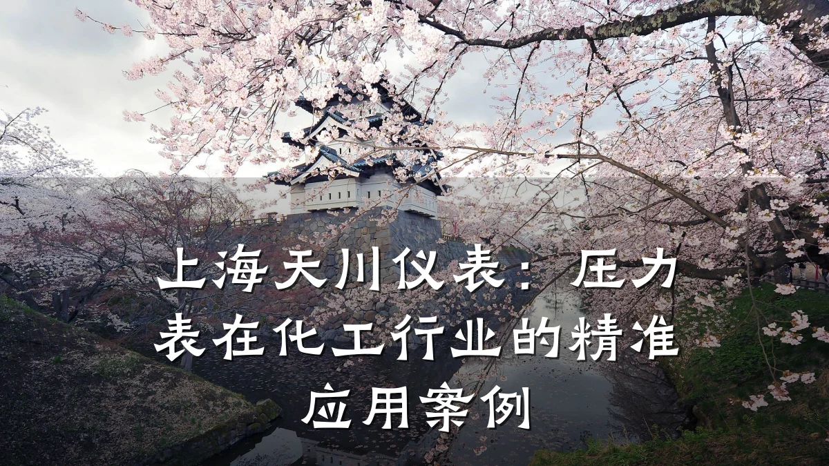 上海天川仪表:压力表在化工行业的精准应用案例