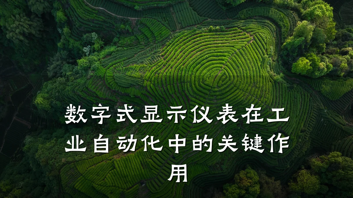 数字式显示仪表在工业自动化中的关键作用