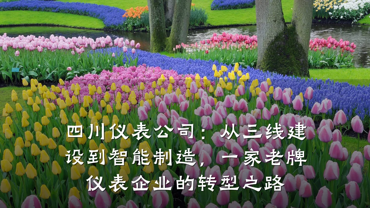 四川仪表公司:从三线建设到智能制造,一家老牌仪表企业的转型之路