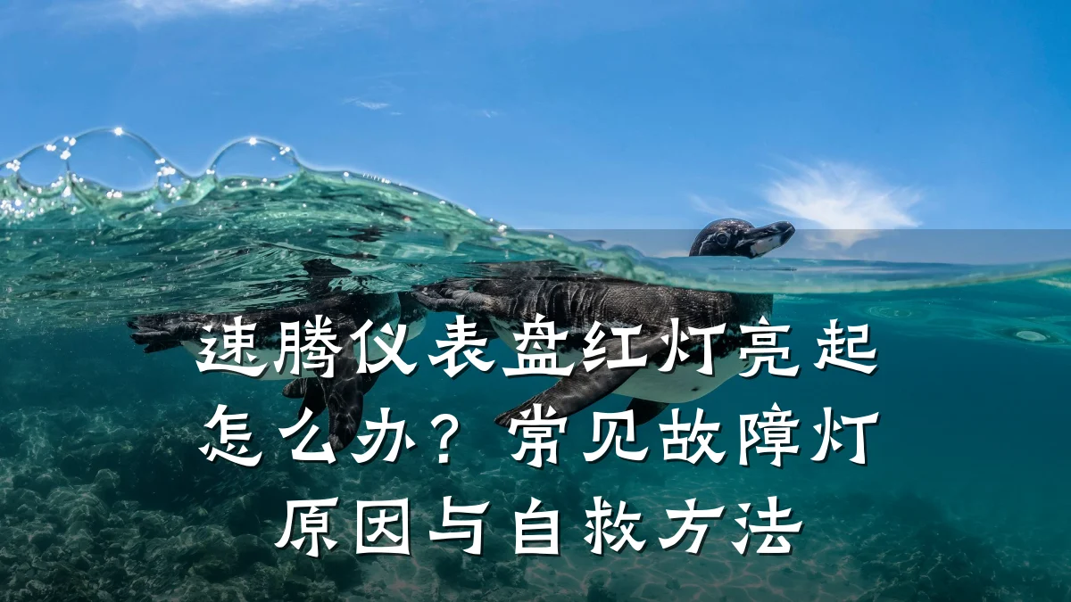 速腾仪表盘红灯亮起怎么办?常见故障灯原因与自救方法