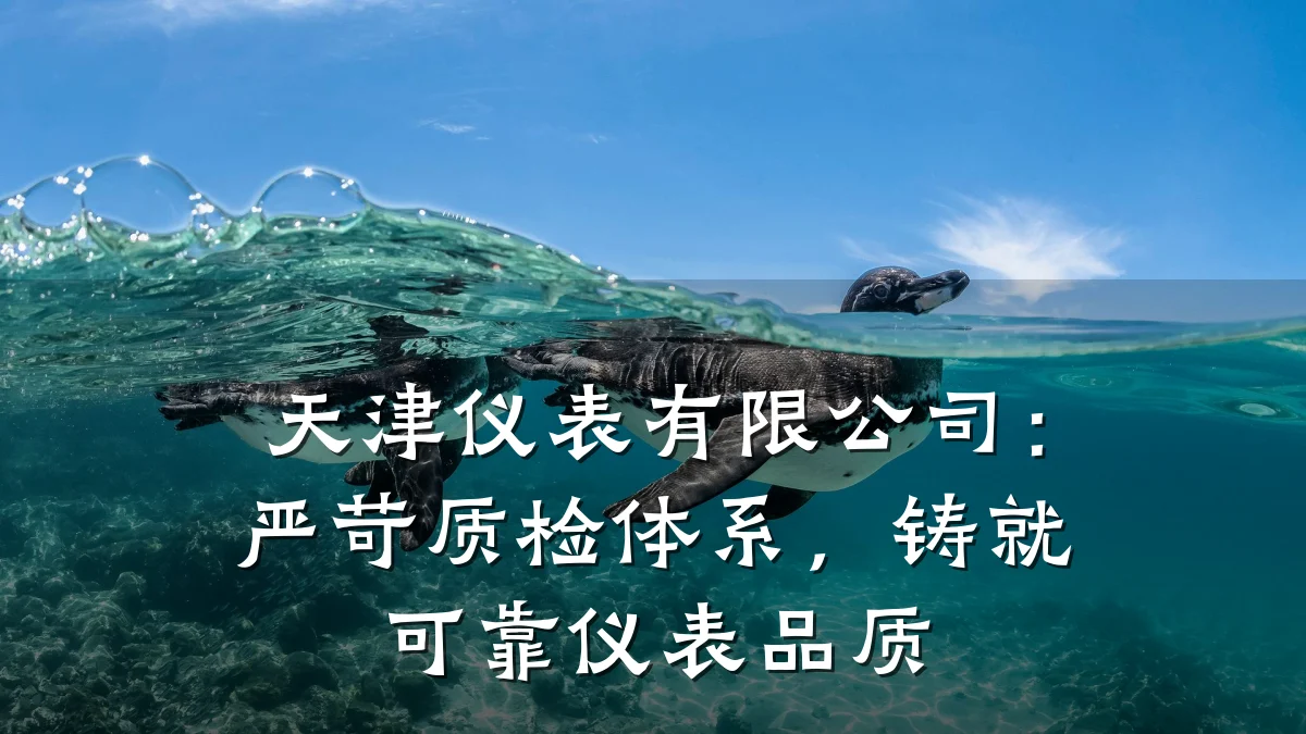 天津仪表有限公司:严苛质检体系,铸就可靠仪表品质