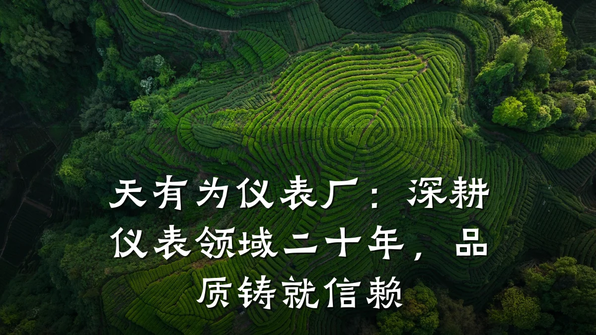 天有为仪表厂:深耕仪表领域二十年,品质铸就信赖