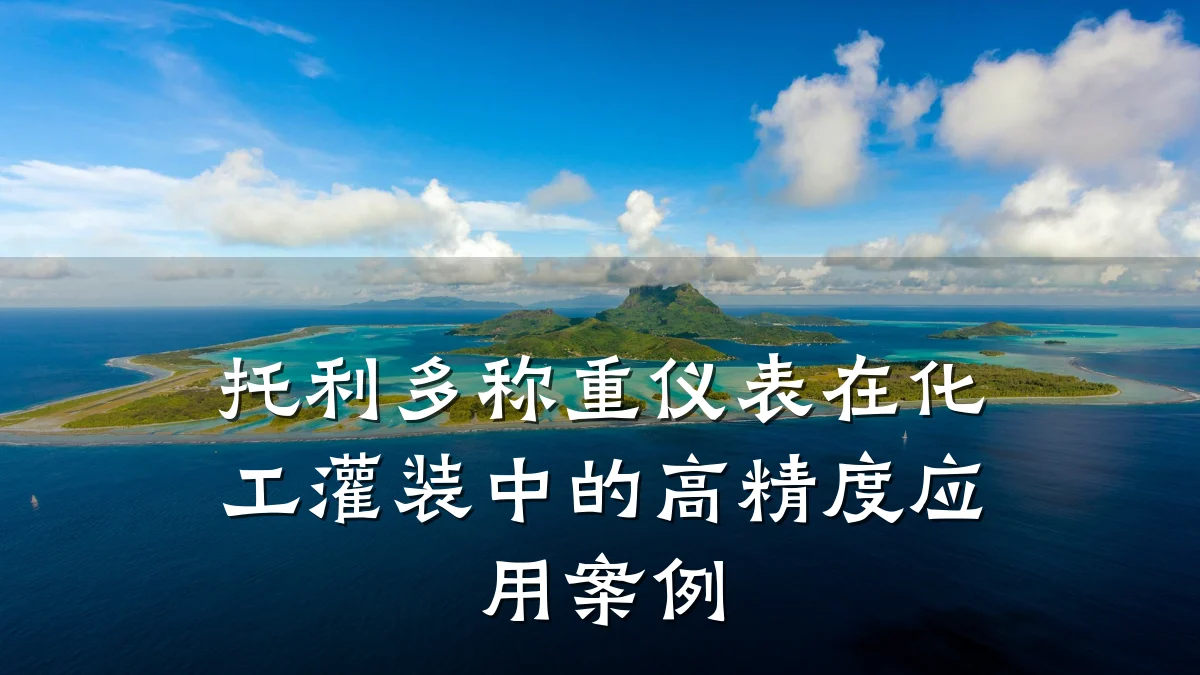 托利多称重仪表在化工灌装中的高精度应用案例