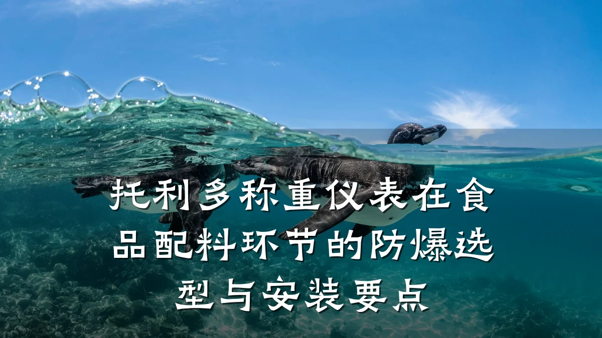 托利多称重仪表在食品配料环节的防爆选型与安装要点