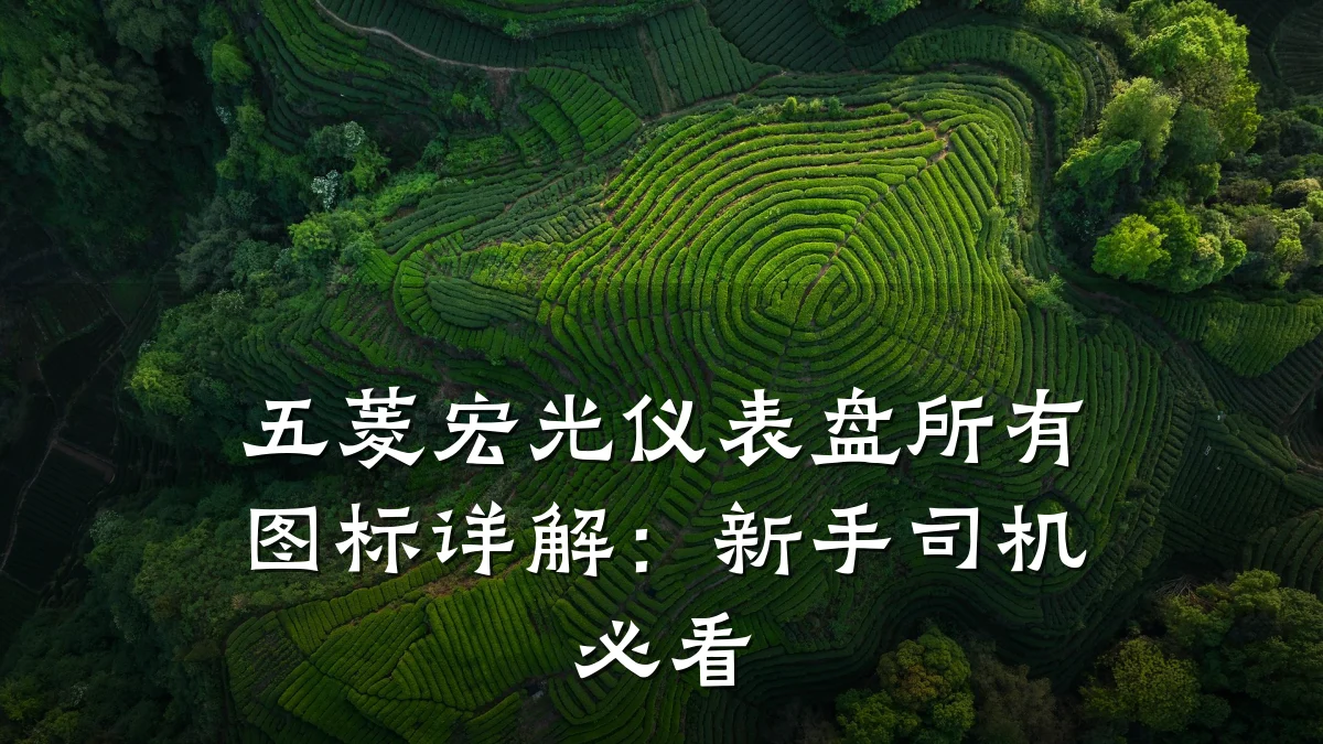 五菱宏光仪表盘所有图标详解:新手司机必看