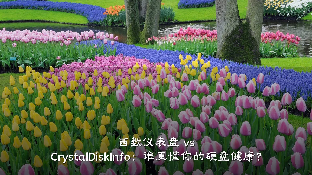 西数仪表盘 vs CrystalDiskInfo:谁更懂你的硬盘健康?