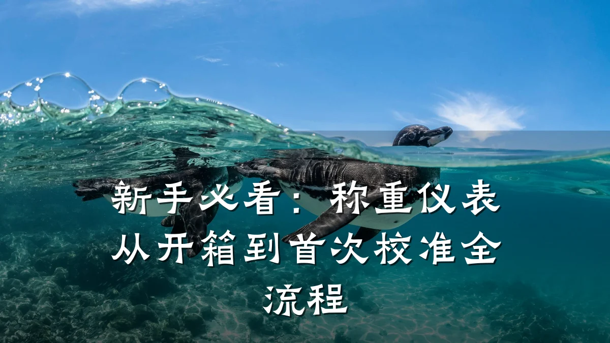 新手必看:称重仪表从开箱到首次校准全流程
