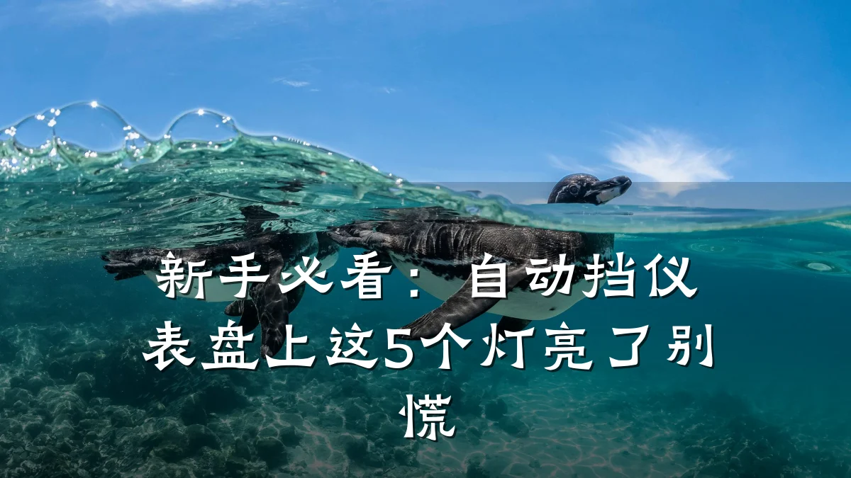 新手必看:自动挡仪表盘上这5个灯亮了别慌