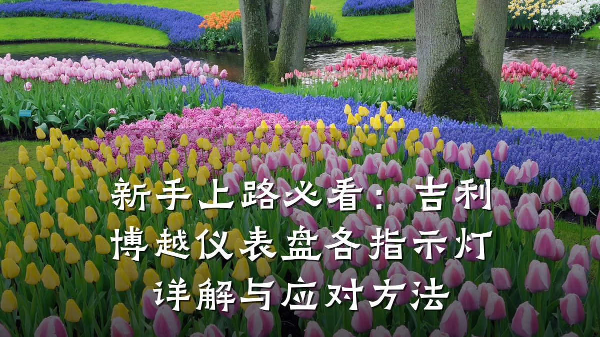 新手上路必看：吉利博越仪表盘各指示灯详解与应对方法