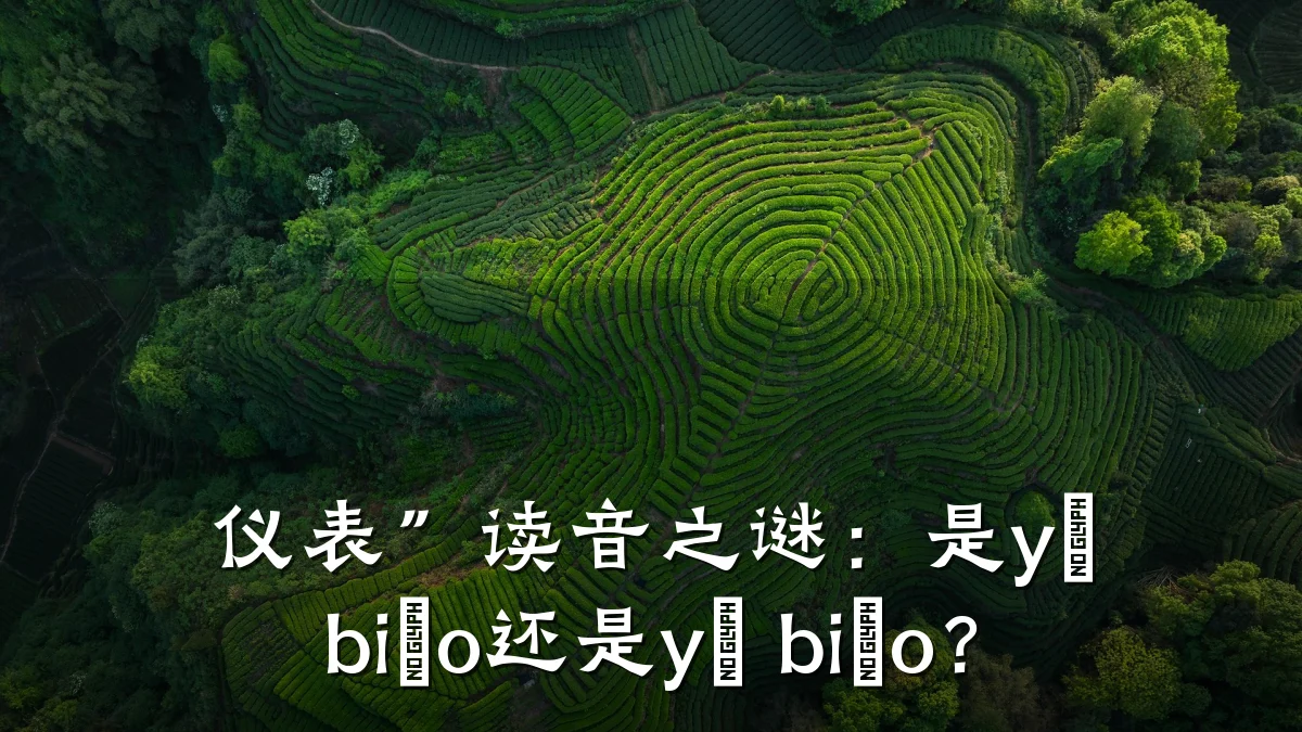 仪表”读音之谜:是yí biǎo还是yì biǎo?