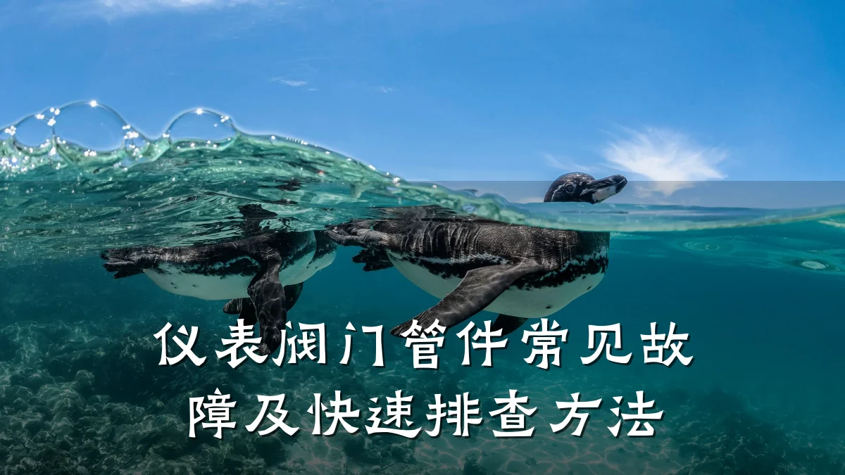 仪表阀门管件常见故障及快速排查方法