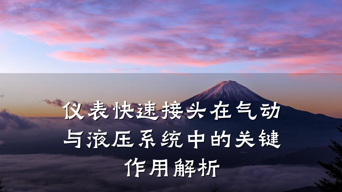 仪表快速接头在气动与液压系统中的关键作用解析