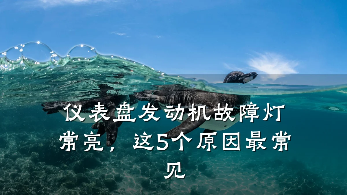 仪表盘发动机故障灯常亮,这5个原因最常见