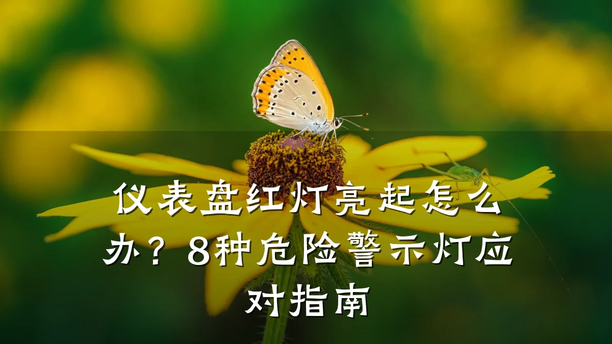 仪表盘红灯亮起怎么办?8种危险警示灯应对指南