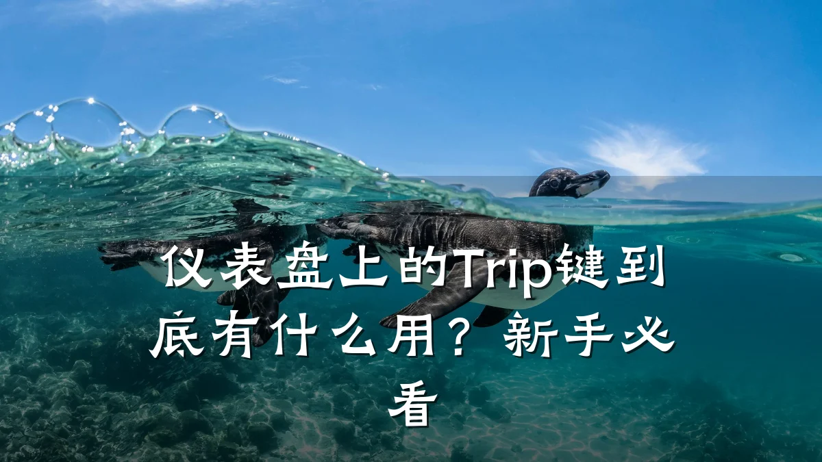 仪表盘上的Trip键到底有什么用?新手必看