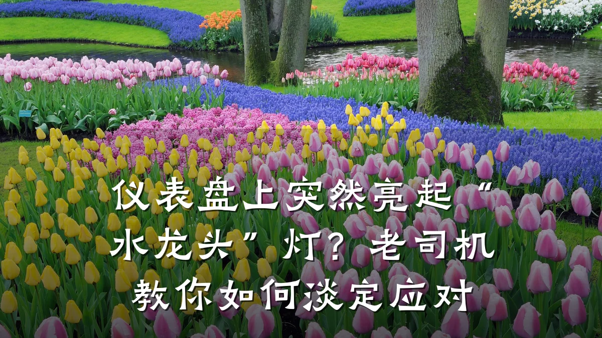 仪表盘上突然亮起“水龙头”灯?老司机教你如何淡定应对