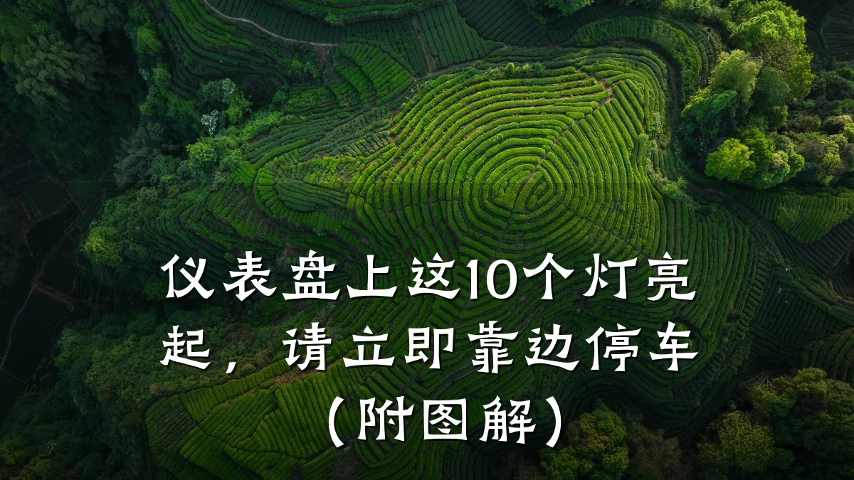 仪表盘上这10个灯亮起,请立即靠边停车(附图解)