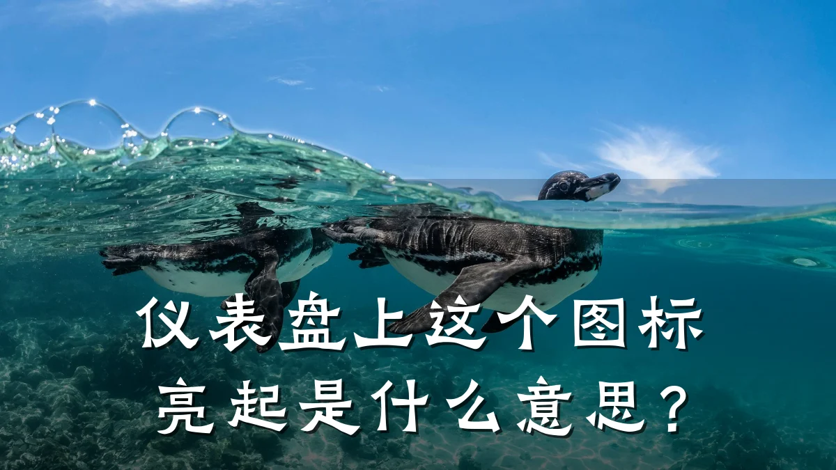 仪表盘上这个图标亮起是什么意思？