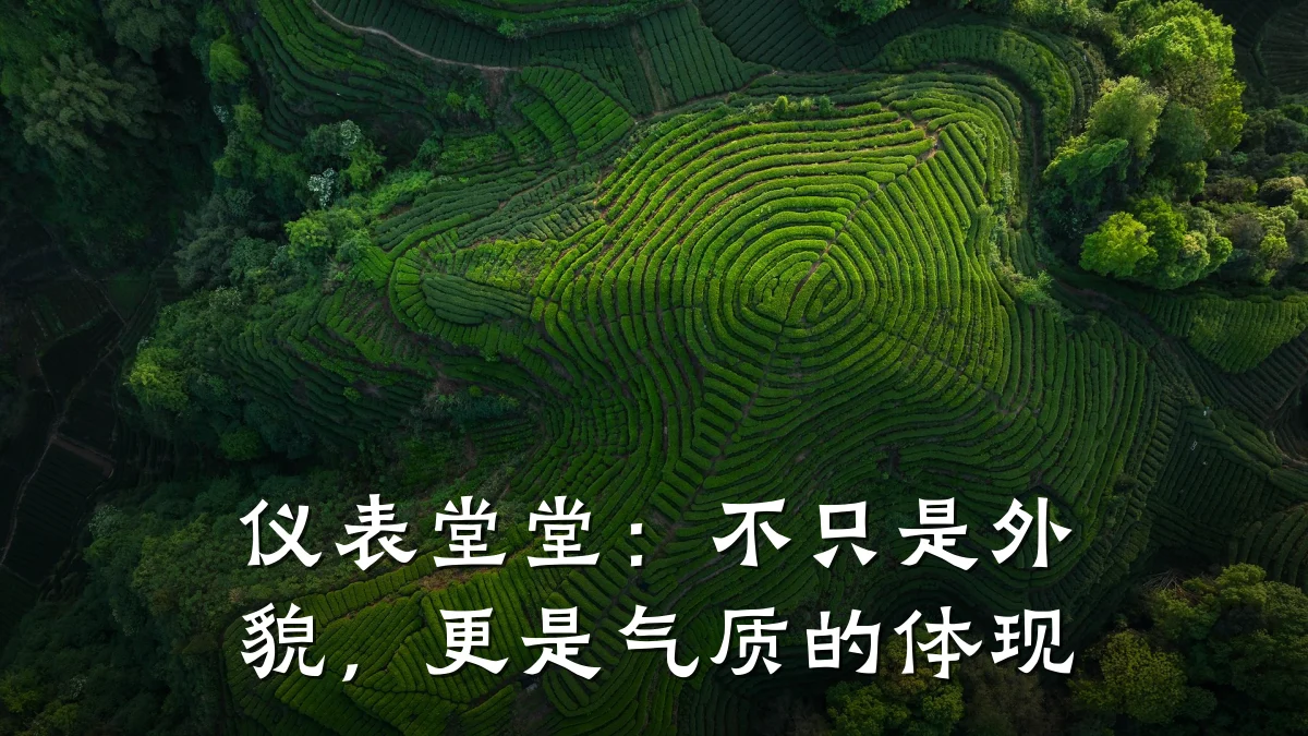 仪表堂堂:不只是外貌,更是气质的体现