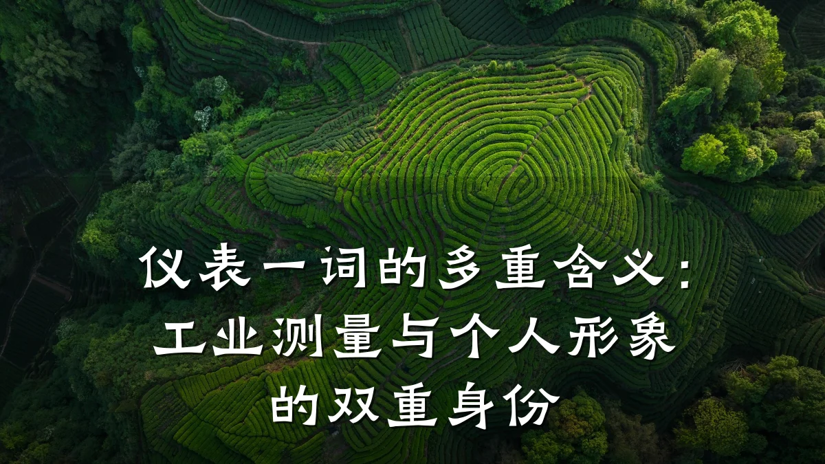 仪表一词的多重含义:工业测量与个人形象的双重身份