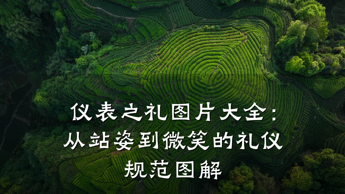 仪表之礼图片大全:从站姿到微笑的礼仪规范图解