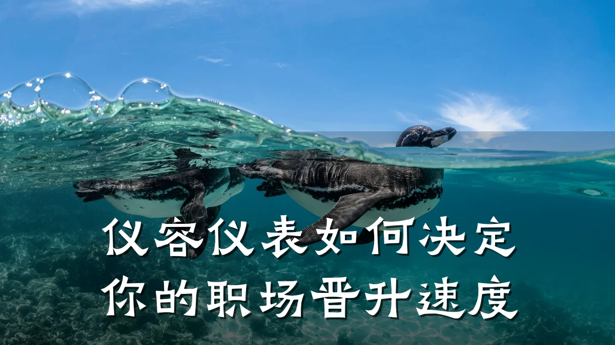 仪容仪表如何决定你的职场晋升速度