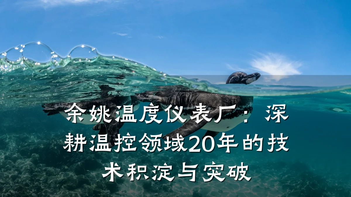 余姚温度仪表厂：深耕温控领域20年的技术积淀与突破