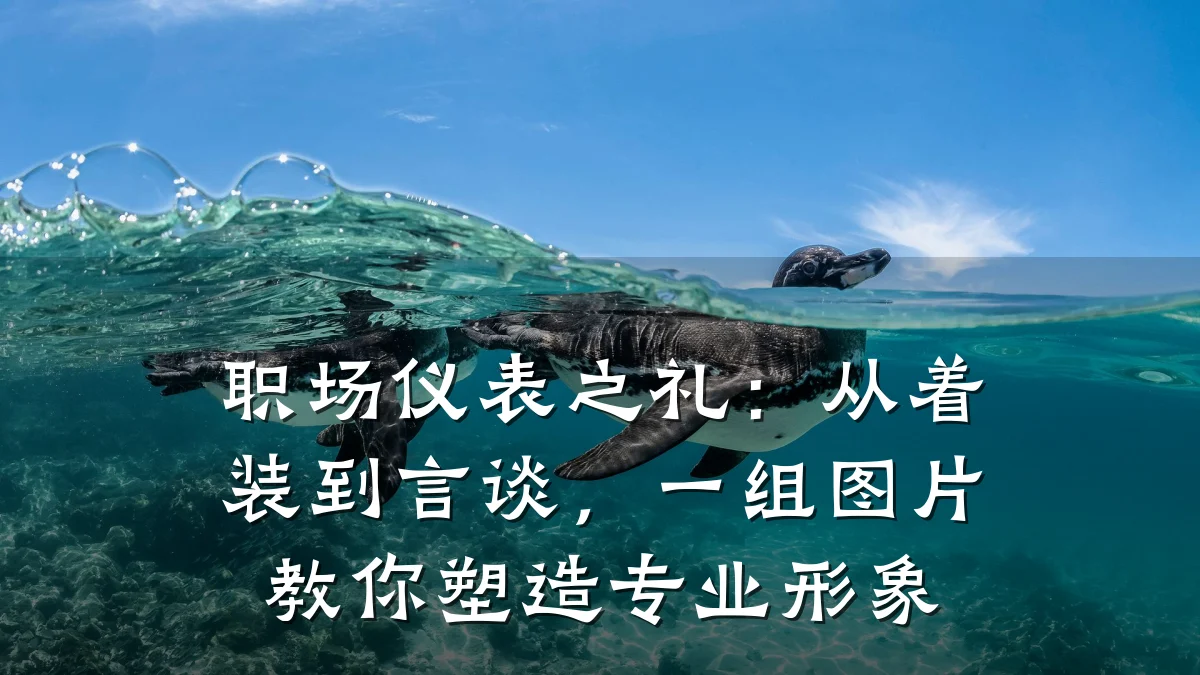 职场仪表之礼:从着装到言谈,一组图片教你塑造专业形象