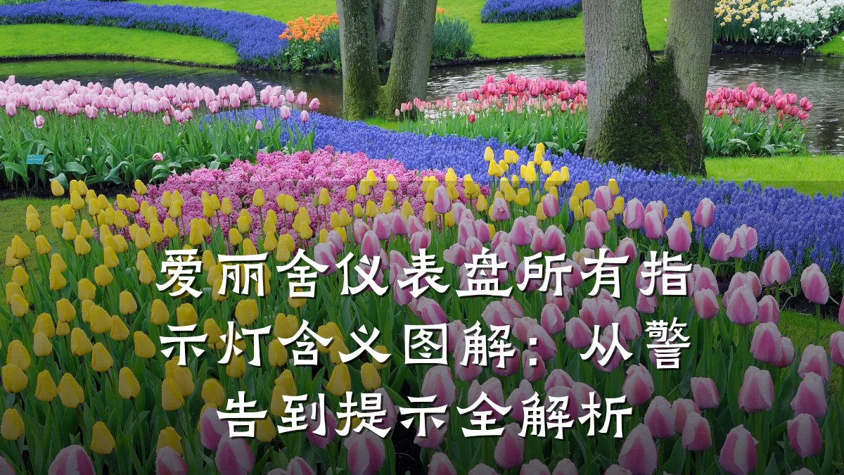 爱丽舍仪表盘所有指示灯含义图解:从警告到提示全解析