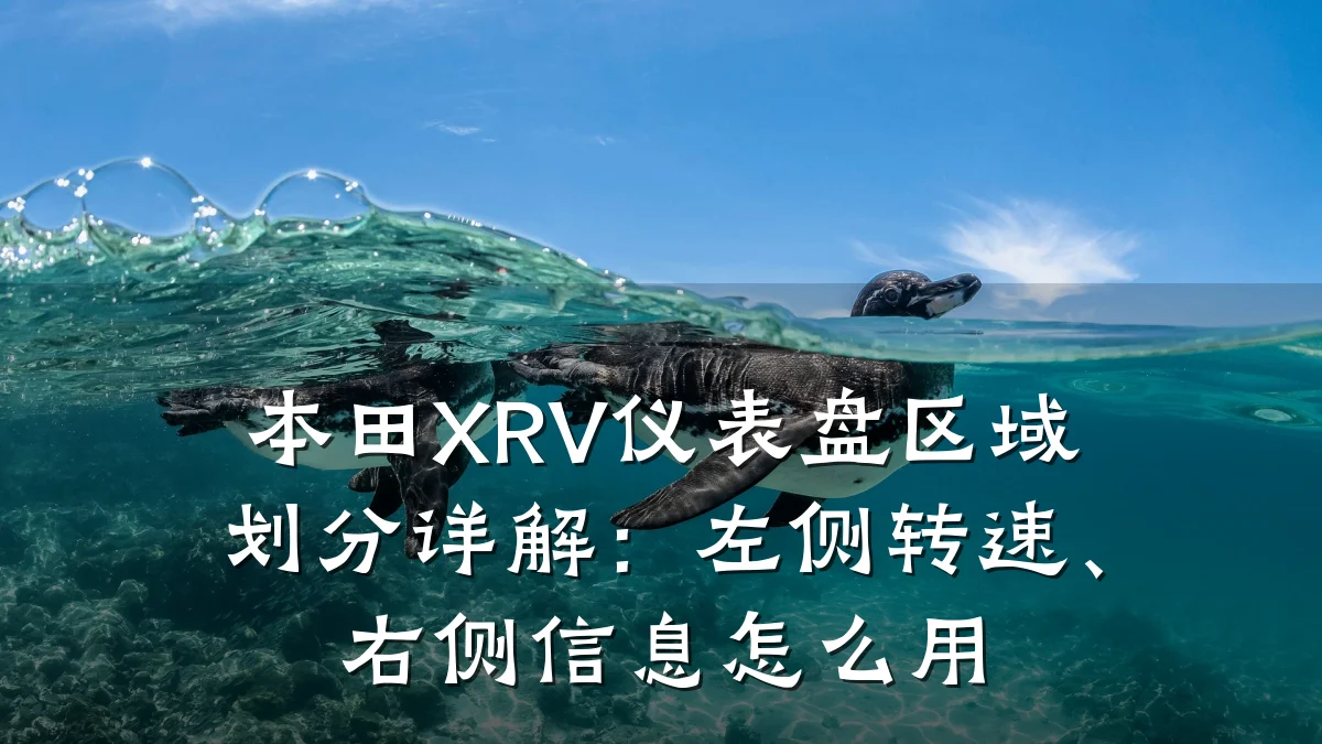 本田XRV仪表盘区域划分详解:左侧转速、右侧信息怎么用