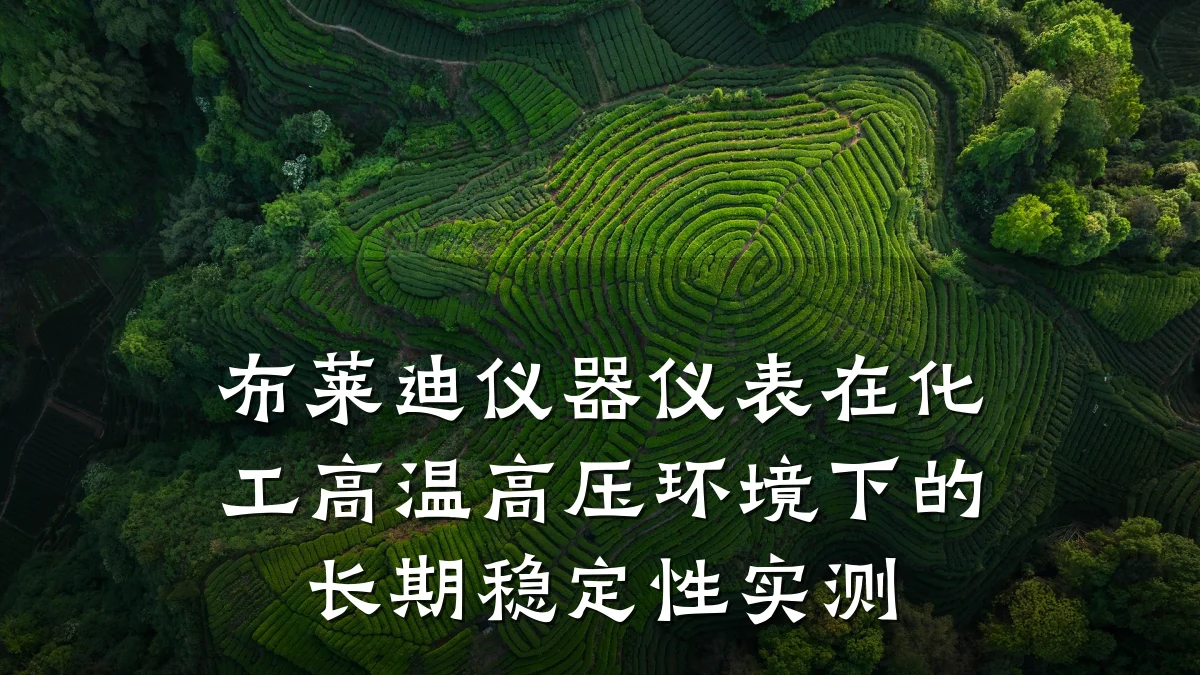 布莱迪仪器仪表在化工高温高压环境下的长期稳定性实测