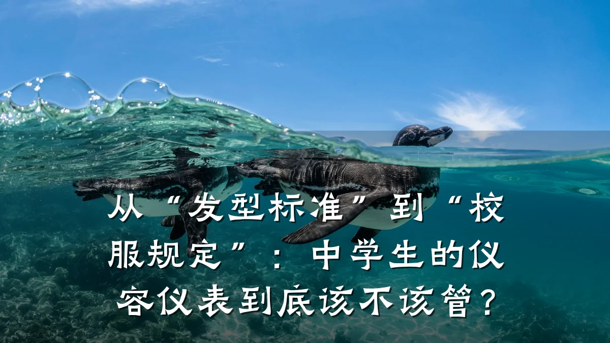 从“发型标准”到“校服规定”:中学生的仪容仪表到底该不该管?