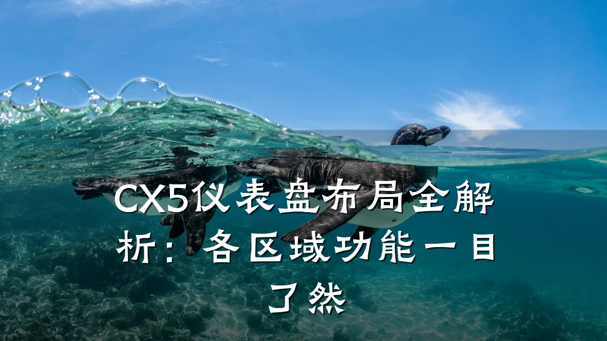 CX5仪表盘布局全解析：各区域功能一目了然