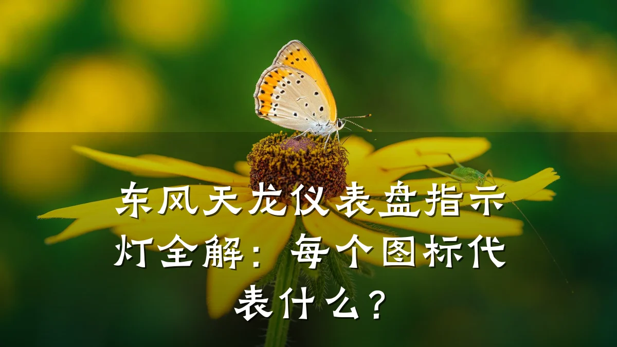 东风天龙仪表盘指示灯全解:每个图标代表什么?