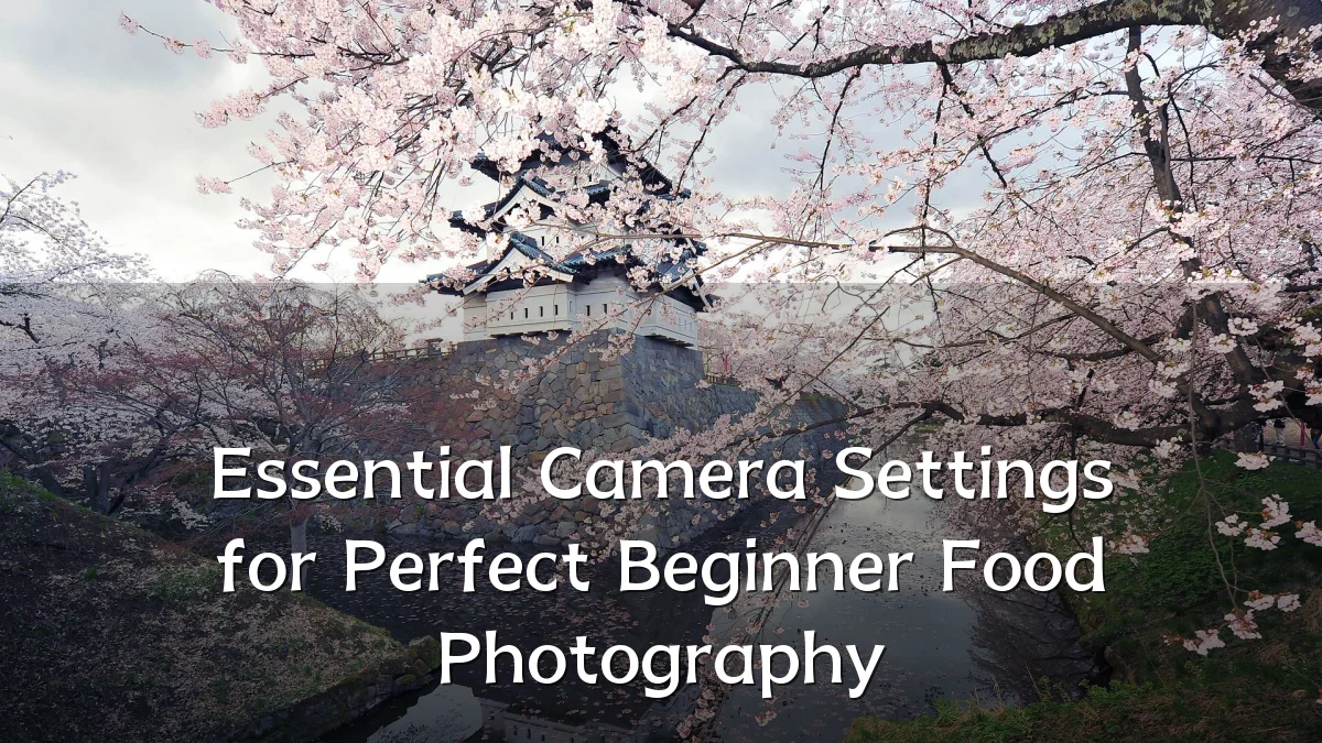 Essential Camera Settings for Perfect Beginner Food Photography