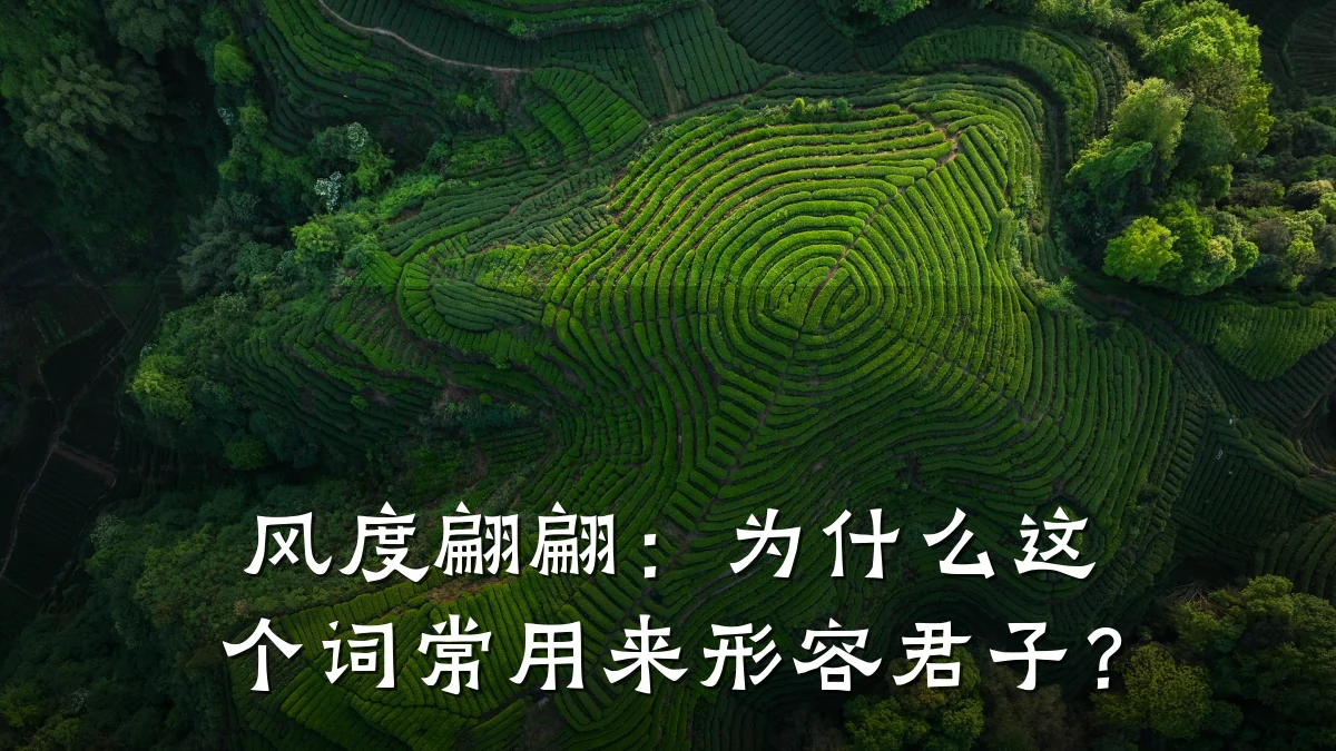 风度翩翩:为什么这个词常用来形容君子?