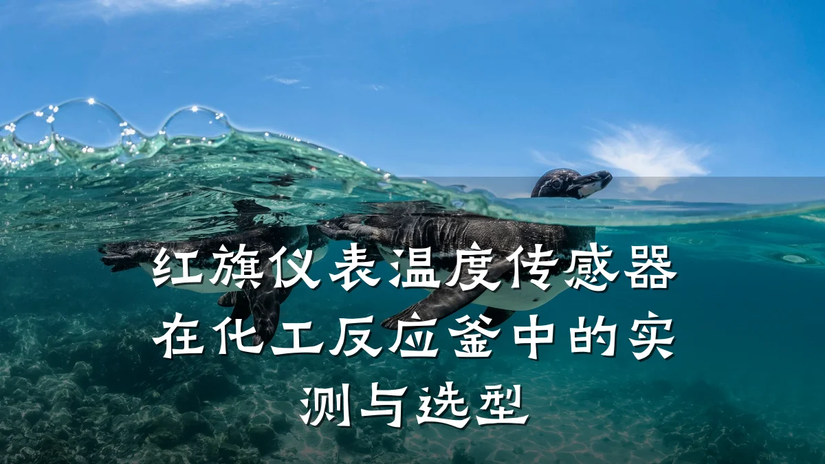 红旗仪表温度传感器在化工反应釜中的实测与选型