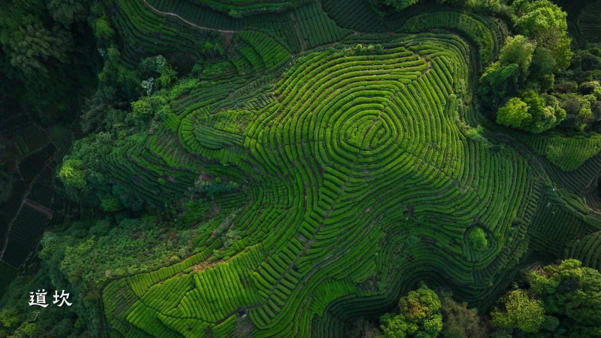 道坎