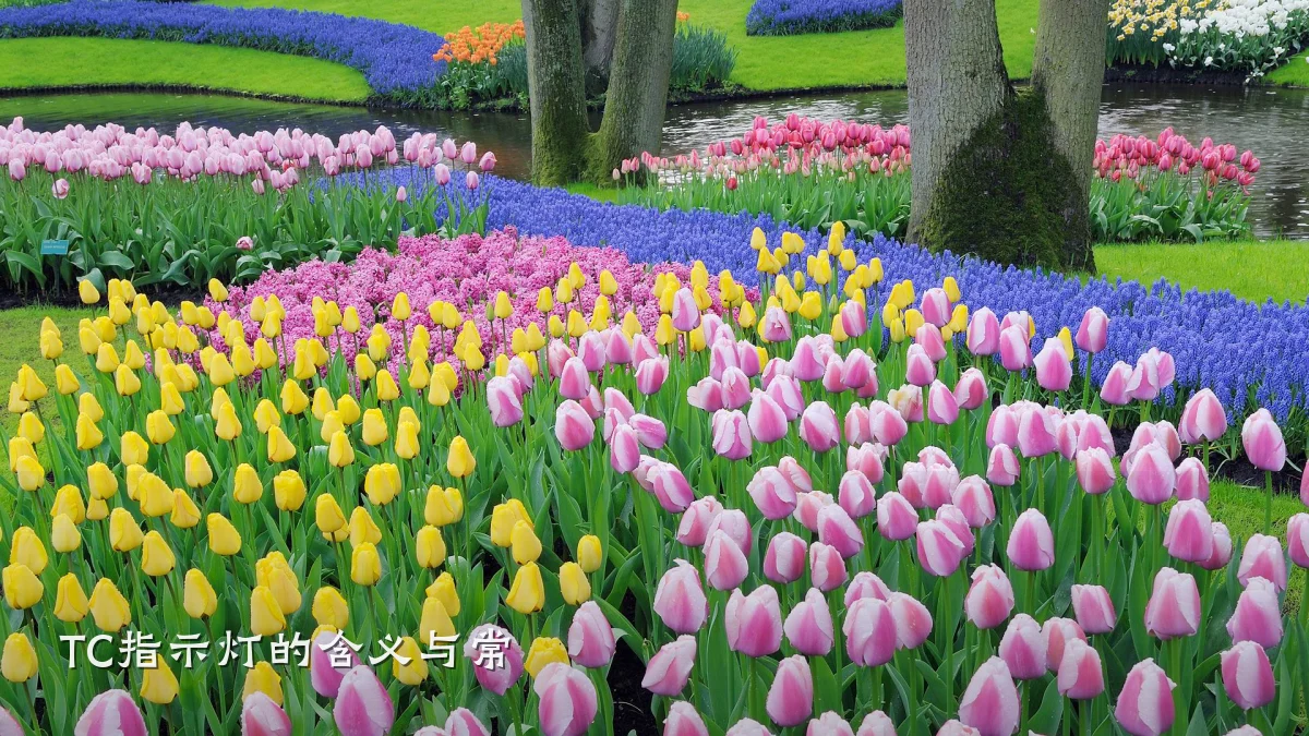 TC指示灯的含义与常