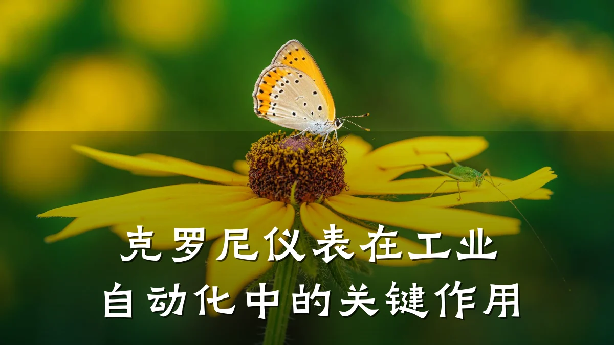 克罗尼仪表在工业自动化中的关键作用